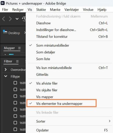 Vælg Vis elementer fra undermapper for at få vist indholdet af mapper. 