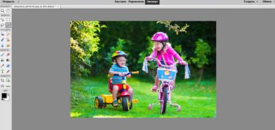 Photoshop Elements автоматически выбирает объект на фотографии