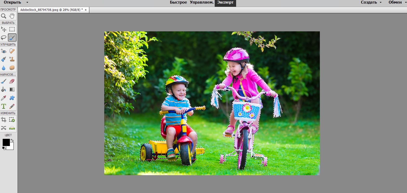 Photoshop Elements автоматически выбирает объект на фотографии