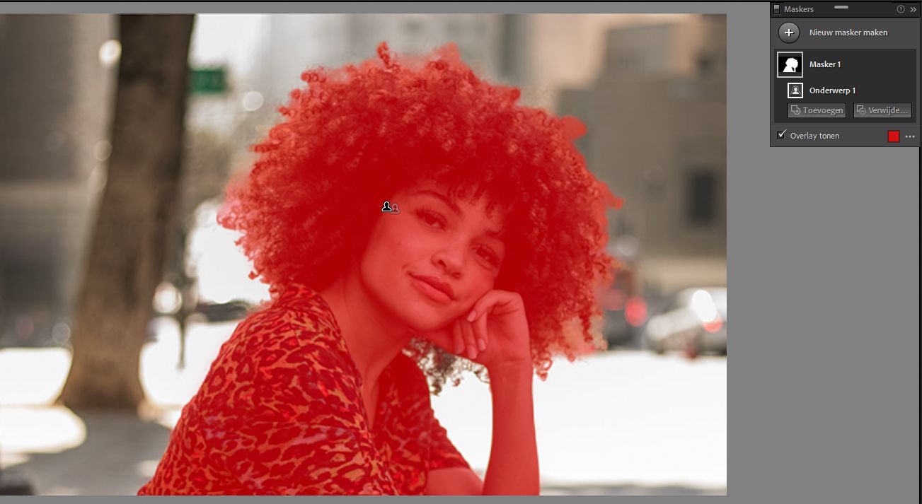 Onderwerp selecteren