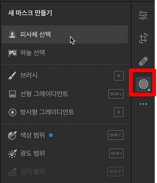 Lightroom에서 피사체 선택