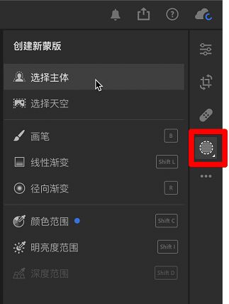 在 Lightroom 中选择主体