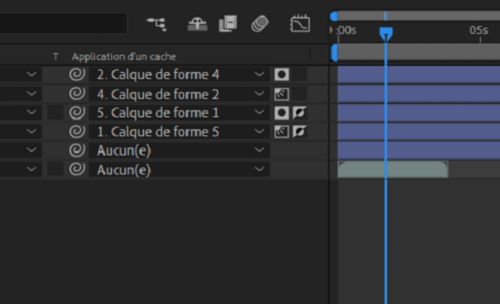 Calques Cache de piste sélectionnables