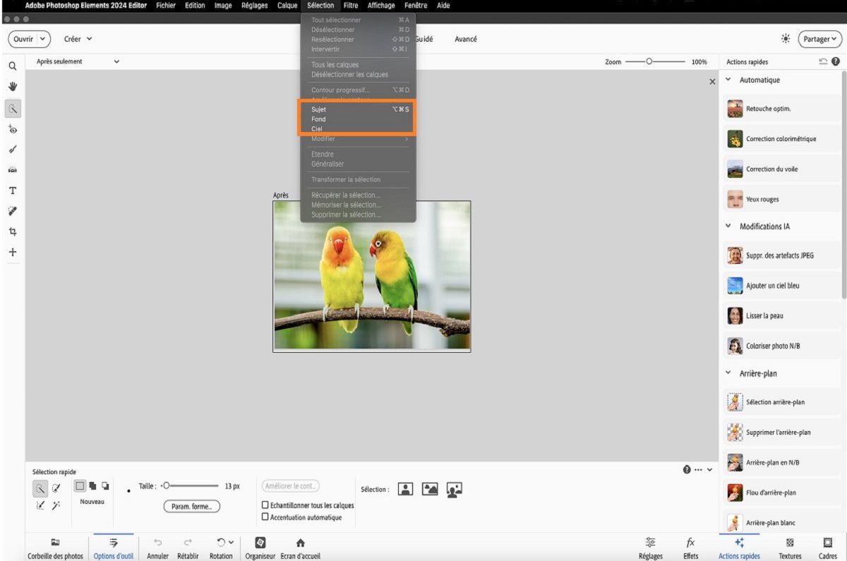 Options de sélection en un clic disponibles dans Adobe Photoshop Elements.