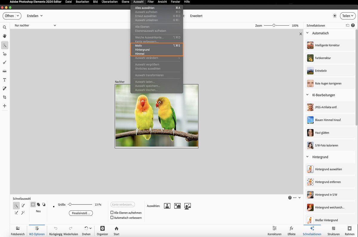 In Adobe Photoshop Elements sind Ein-Klick-Auswahloptionen verfügbar.