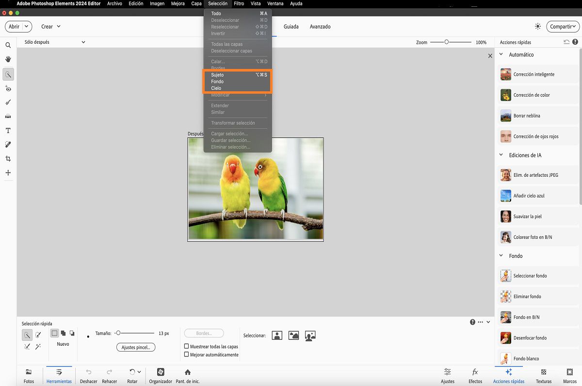 Opciones de selección con un solo clic disponibles en Adobe Photoshop Elements.