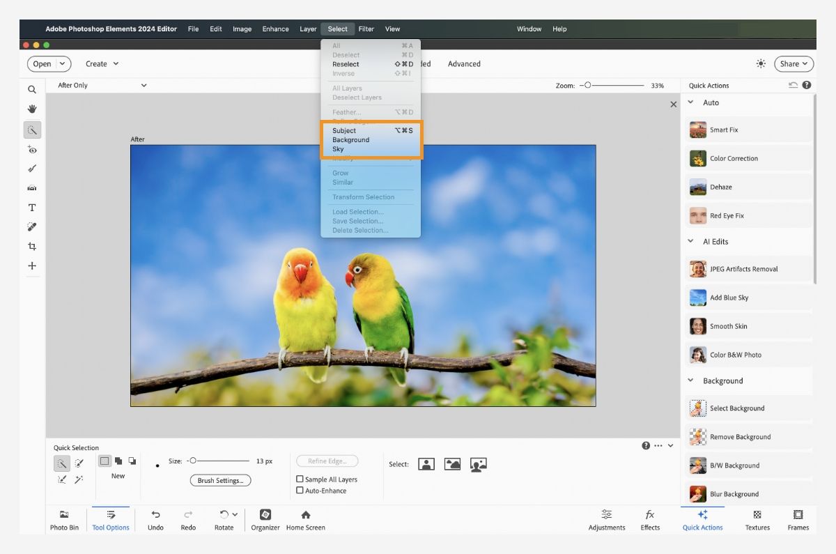 One-click selection options available in Adobe Photoshop Elements.