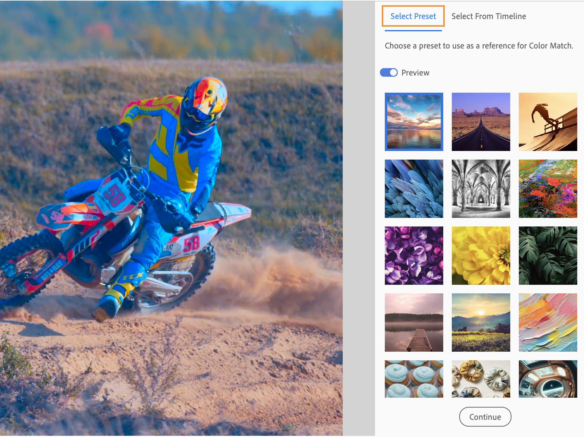Apply the Color Match tool from the Select Preset tab.