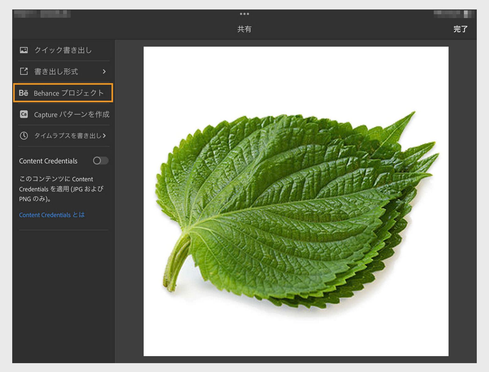 Behance に送信がハイライトされた共有アイコンメニューが開き、カンバスから直接アートワークを公開できます。