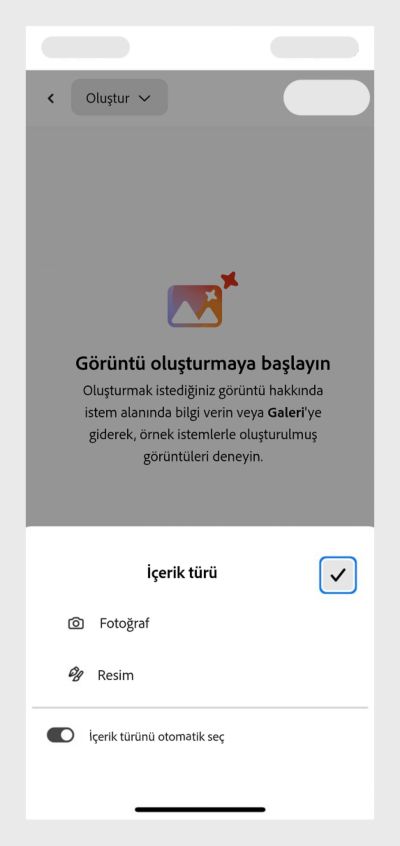 İçerik Türü bölümü açılır ve Fotoğraf, Resim ve İçerik türünü otomatik seç seçenekleri görüntülenir. 