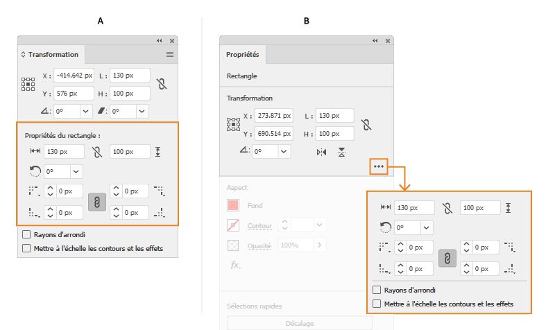 Spécification des options des formes dynamiques