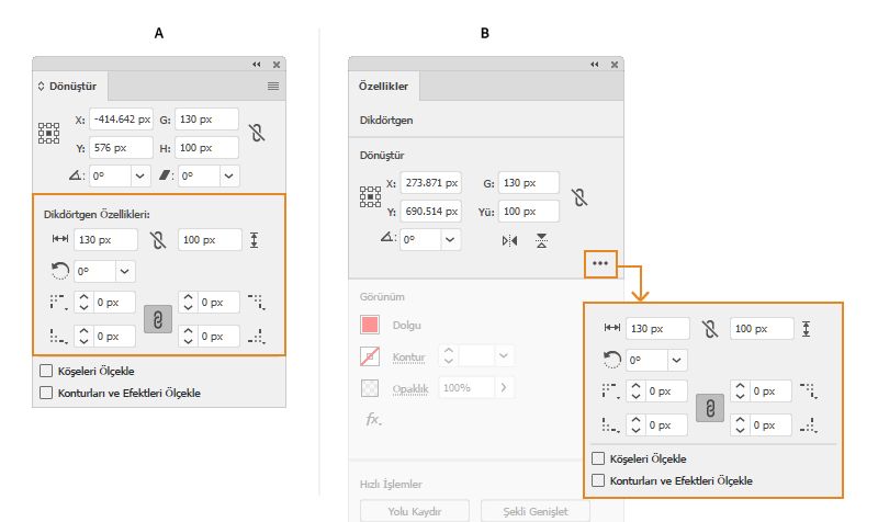 Canlı şekil seçeneklerini belirtme
