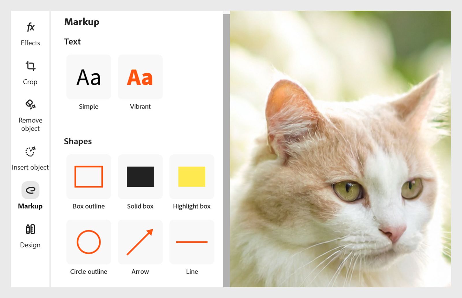 In de afbeelding ziet u links in het deelvenster Markering de secties Tekst, Vormen en Tekenen. Selecteer een vorm uit de beschikbare zes vormen om deze aan uw ontwerp toe te voegen. 