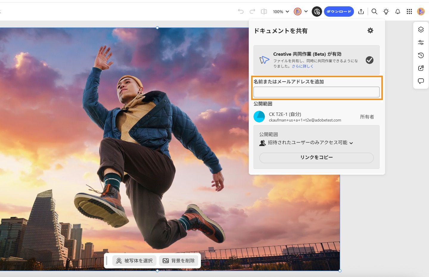ドキュメントを共有ダイアログボックスが表示されており、ここで効果的な共同作業のためにデザインパートナーを追加します。