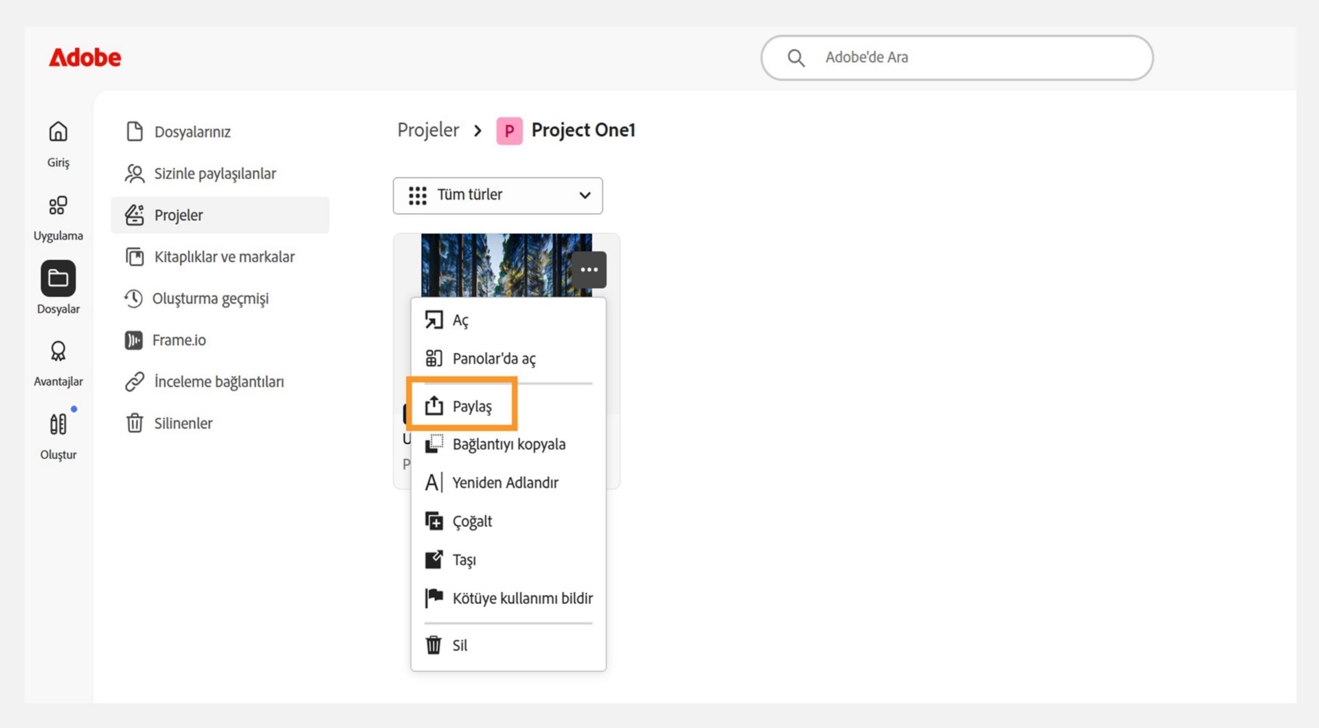 Projelerin listesini gösteren Adobe arayüzü. Bir proje küçük resminin yanındaki açılır menü, kullanıcıların paylaşım ayarlarını yönetebileceği yeri gösteren "Paylaş" seçeneğini görüntüler.