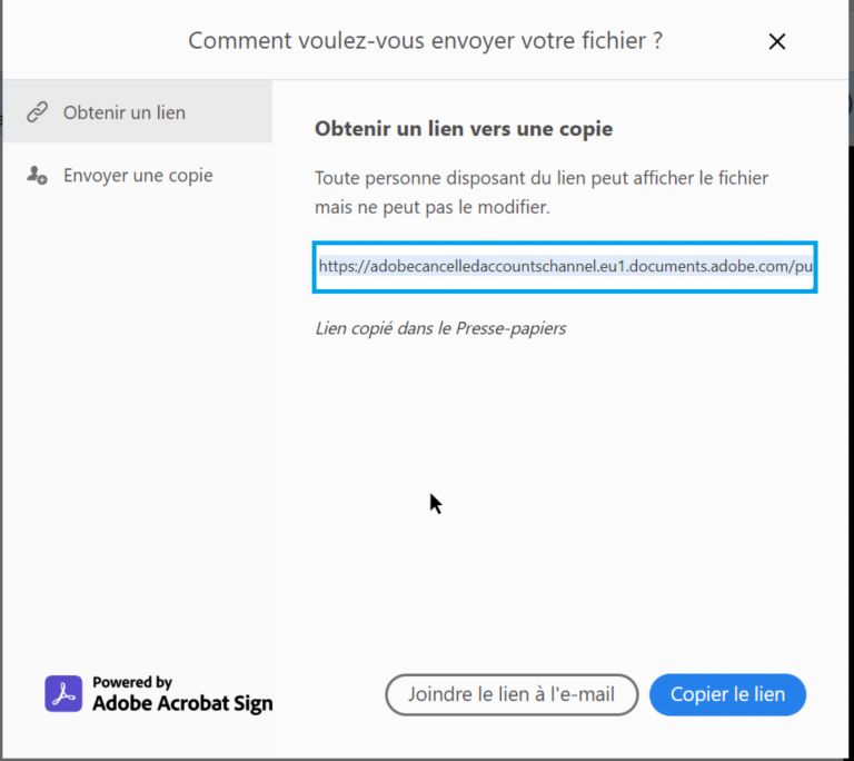 Copier le lien ou joindre à l’e-mail