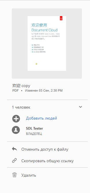 Действия для файлов, предоставленных для просмотра