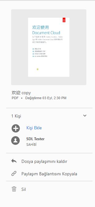 Görüntülenmek üzere paylaşılan dosyalar üzerinde yapılabilecek işlemler