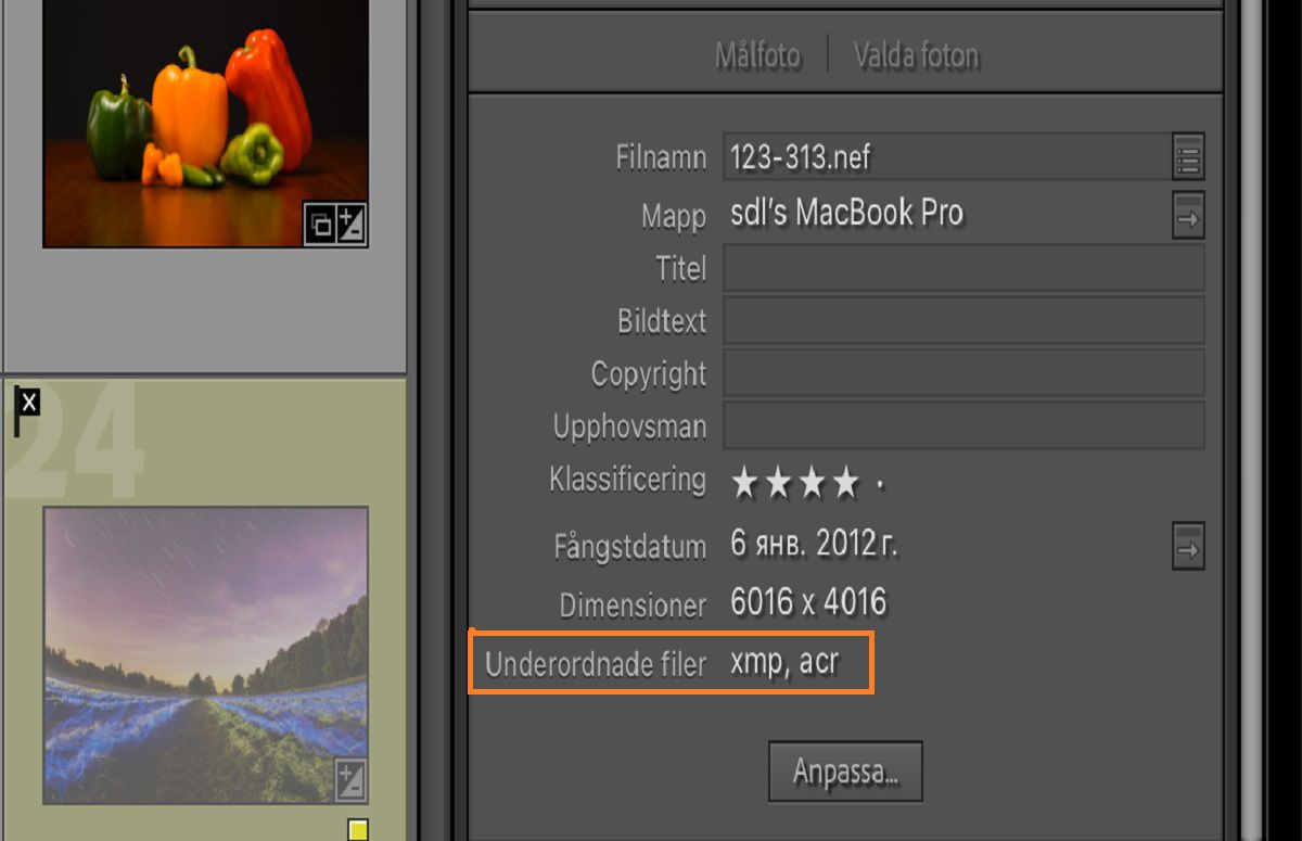 Metadatafält i Lightroom Classic med detaljer och filinformation.