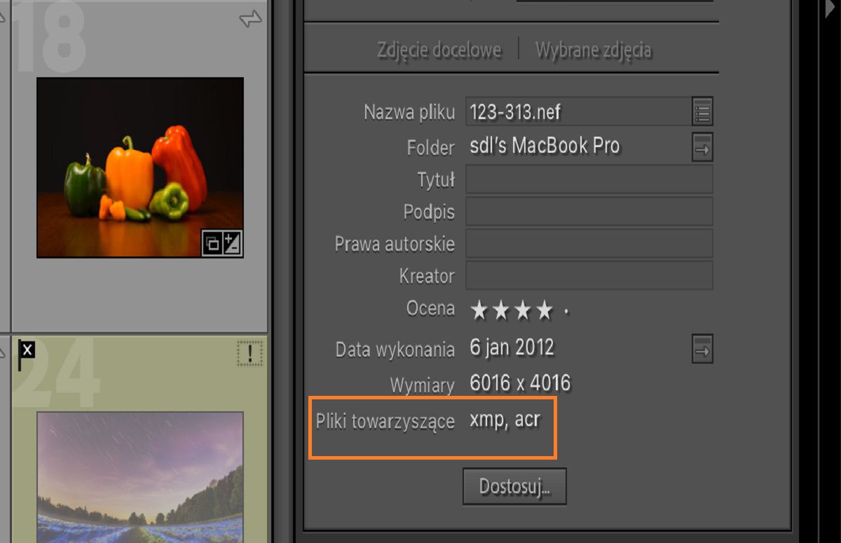 Pole Metadane w Lightroom Classic ze szczegółami i informacjami o pliku.