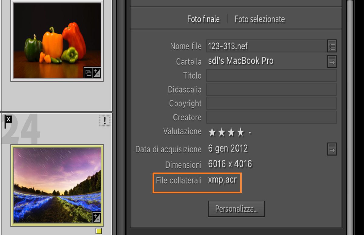 Campo Metadati in Lightroom Classic con dettagli e informazioni sui file.