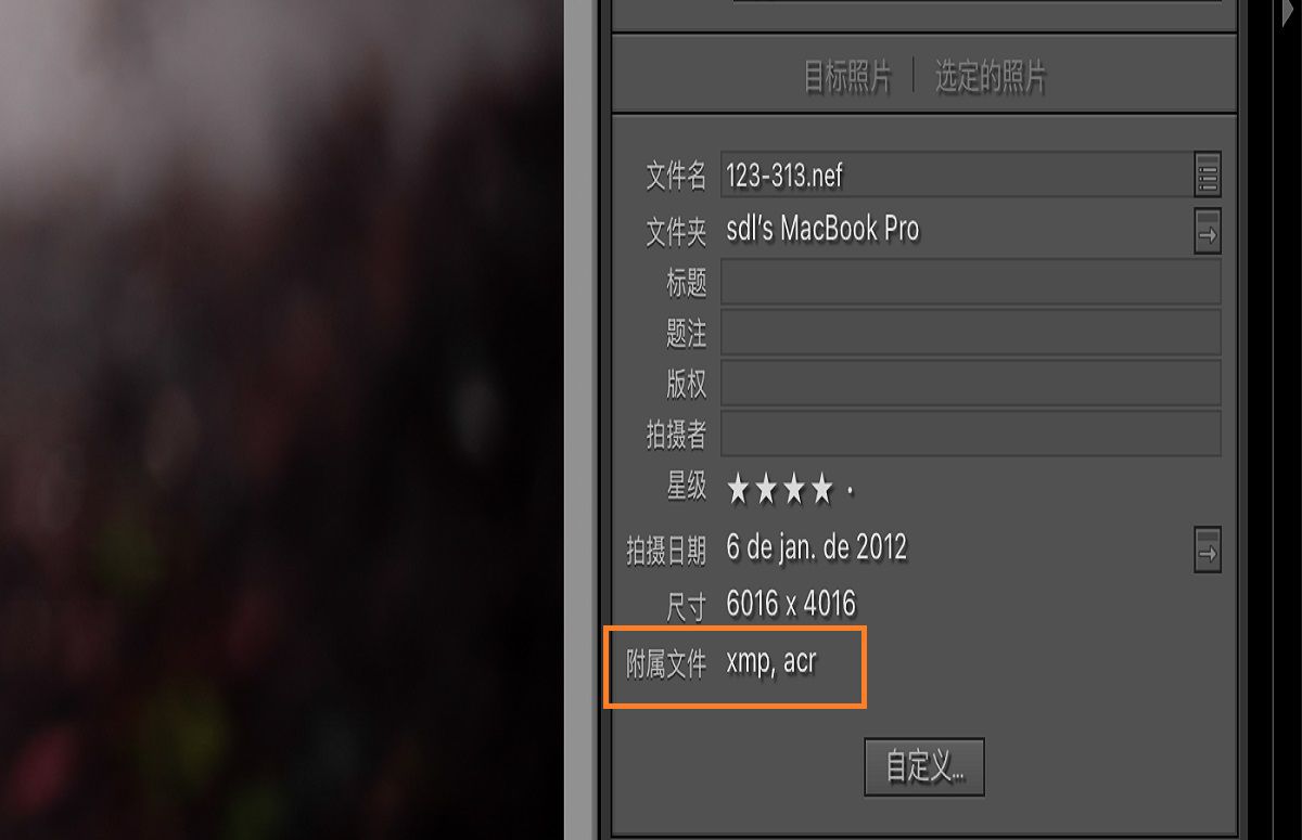 Lightroom Classic 中的“元数据”字段，其中包含详细信息和文件信息。