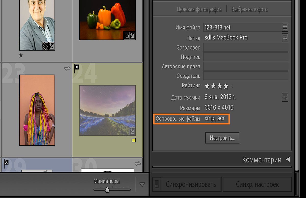 Поле метаданных в Lightroom Classic с подробностями и информацией о файлах. 