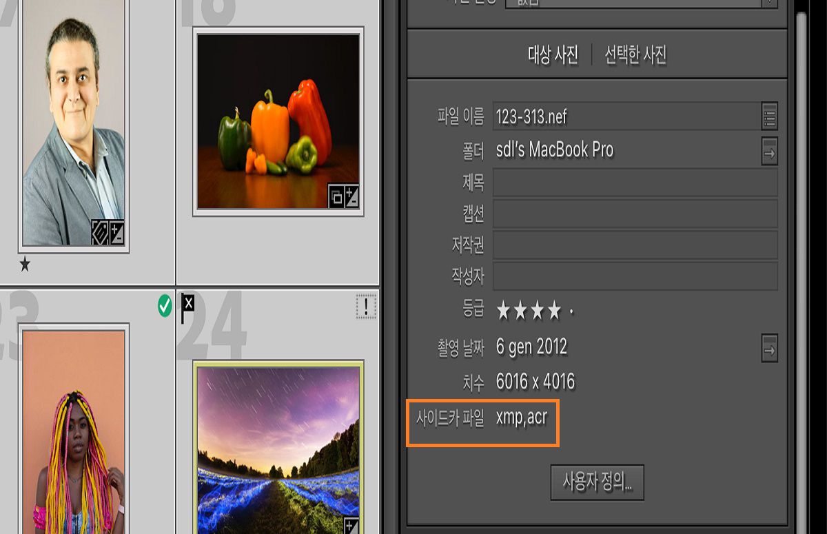 세부 정보와 파일 정보가 포함된 Lightroom Classic의 메타데이터 필드. 