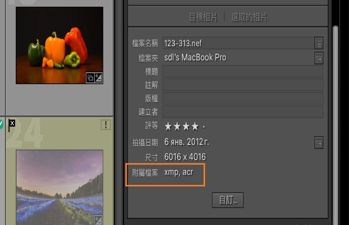 Lightroom Classic 中的中繼資料欄位，包含詳細資訊和檔案資訊。