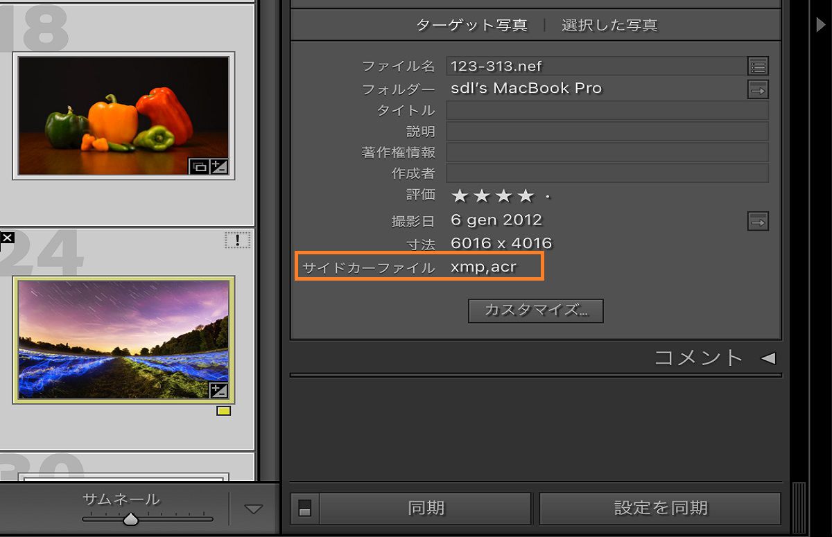 詳細とファイル情報を含む Lightroom Classic のメタデータフィールド。