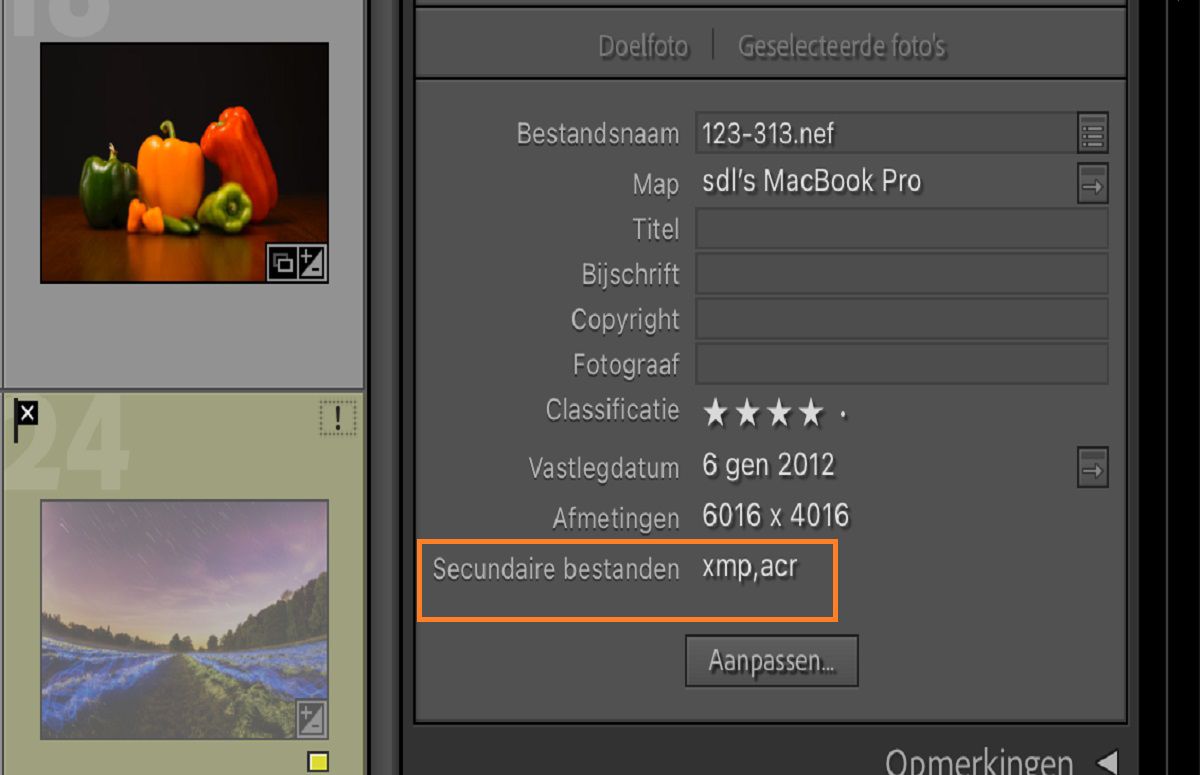 Metadataveld in Lightroom Classic met details en bestandsinformatie.