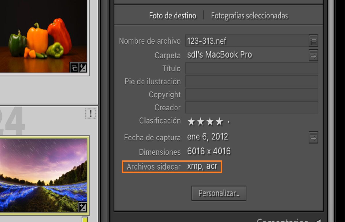 Campo de metadatos en Lightroom Classic con detalles e información del archivo.