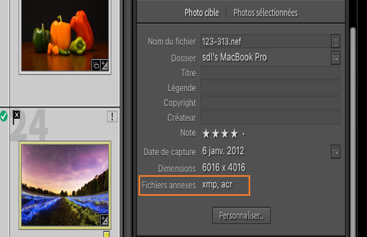 Champ de métadonnées dans Lightroom Classic avec les détails et les informations sur les fichiers. 