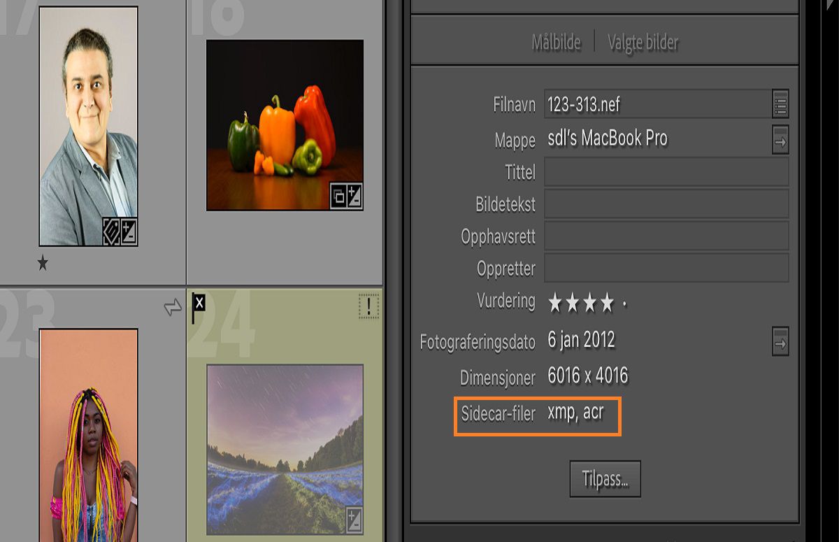Metadata-felt i Lightroom Classic med detaljer og filinformasjon.