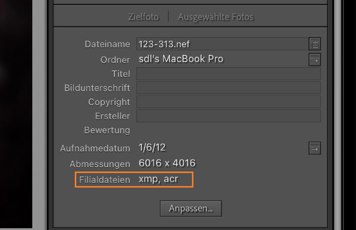 &quot;Metadatenfeld in Lightroom Classic mit Details und Dateiinformationen.