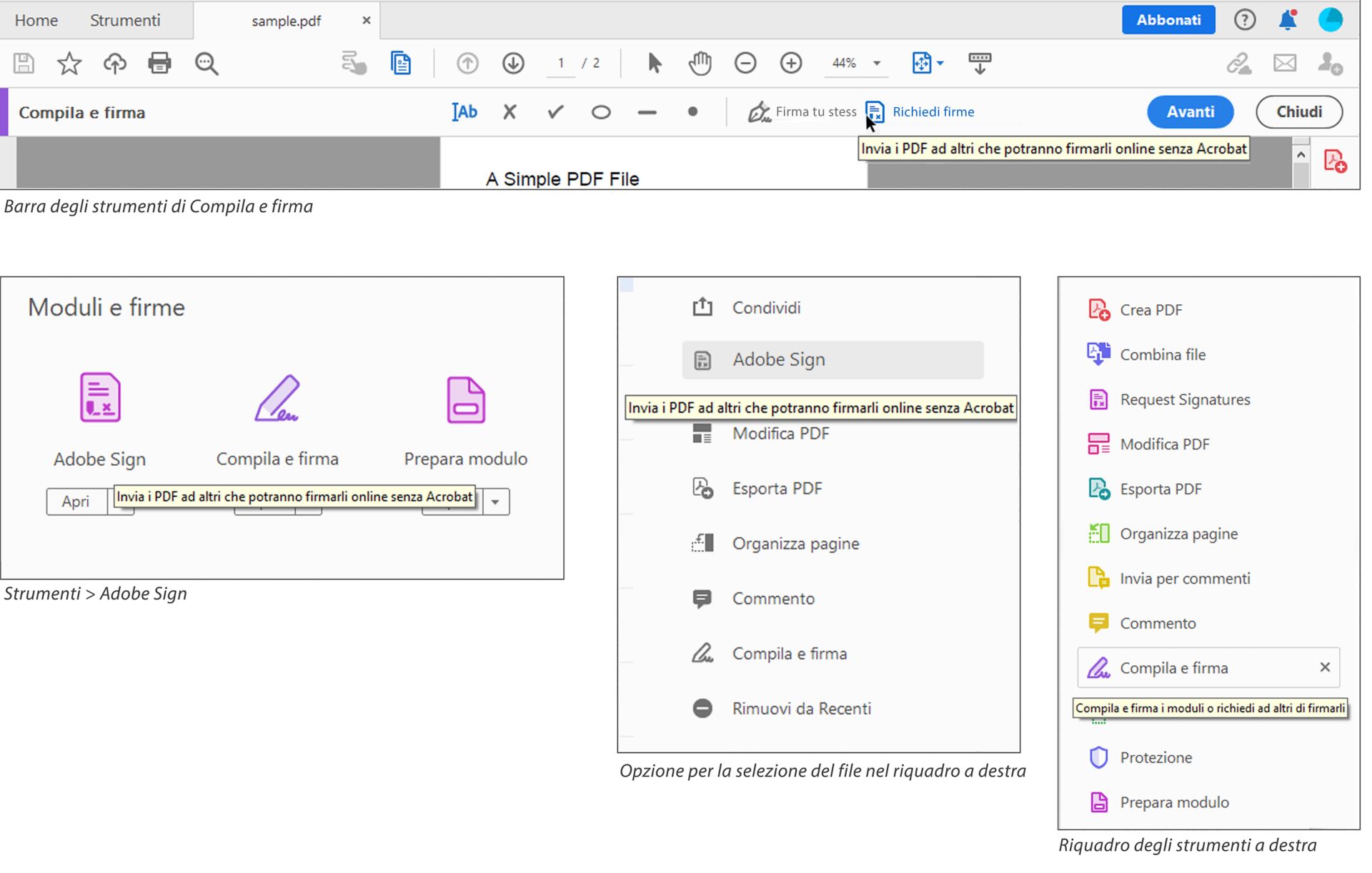 Nuova descrizione dello strumento Firma