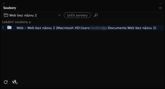 Vzhled panelu Soubory, pokud je v aplikaci Dreamweaver definován web, ale nejsou definovány servery