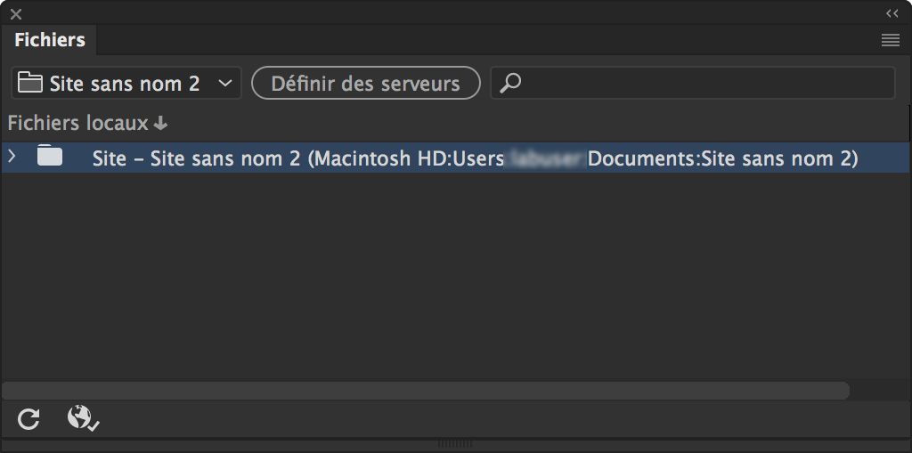 Aspect du panneau Fichiers lorsqu’un site est défini dans Dreamweaver mais qu’aucun serveur n’est défini