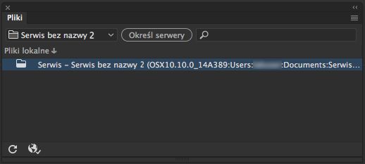 Wygląd panelu Pliki po zdefiniowaniu serwisu w programie Dreamweaver, ale w sytuacji, gdy nie jest zdefiniowany serwer
