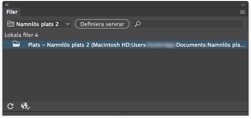 Så här ser filpanelen ut när en plats har definierats i Dreamweaver men inga servrar har definierats