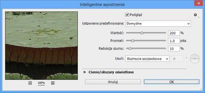 Okno dialogowe Inteligentne wyostrzanie w programie Photoshop