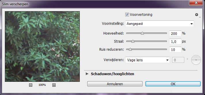 Photoshop - Het dialoogvenster Slim verscherpen