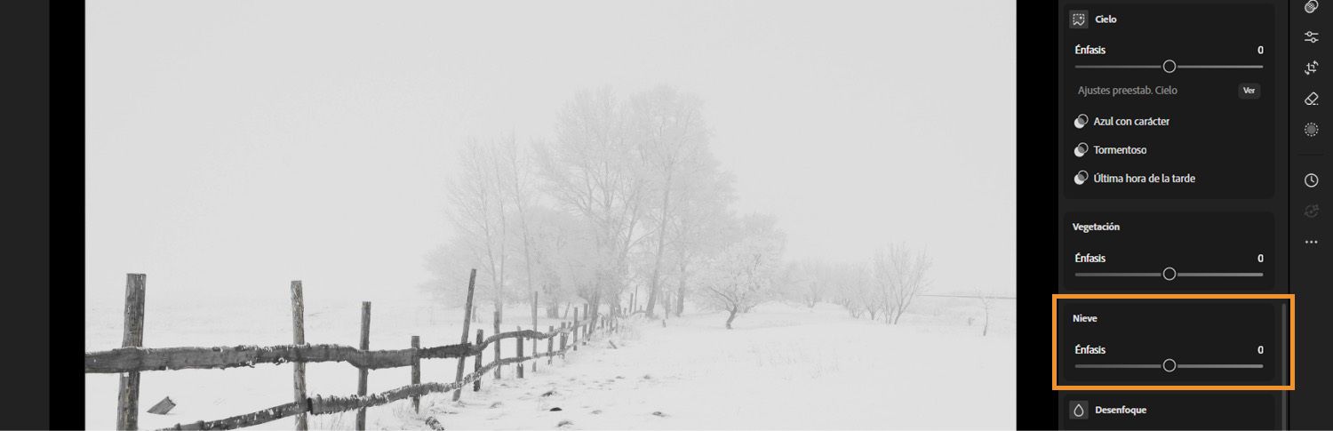 Se muestra un prado cubierto de nieve donde se resalta la mejora de nieve en el lienzo de lightroom.