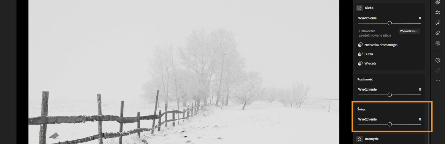Pokazana jest łąka pokryta śniegiem, gdzie funkcja poprawy śniegu jest podświetlona na lightroom obszar roboczy.