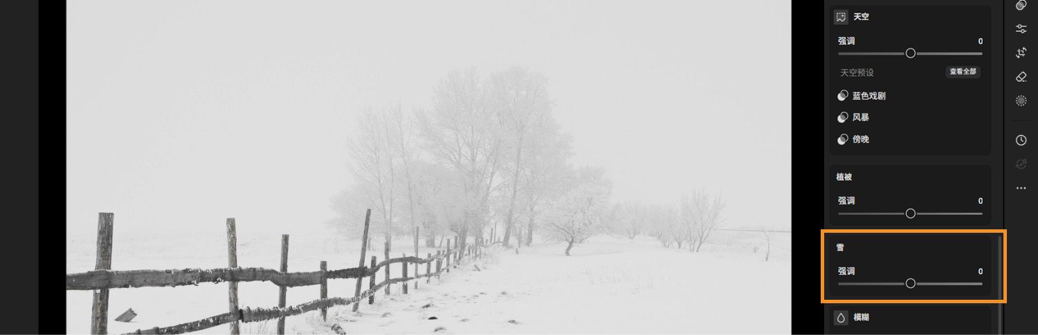Lightroom 画布上显示了一片被积雪覆盖的草地，并突出显示了“雪景增强”功能。