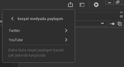 Sosyal Medyada Paylaşım Paneli