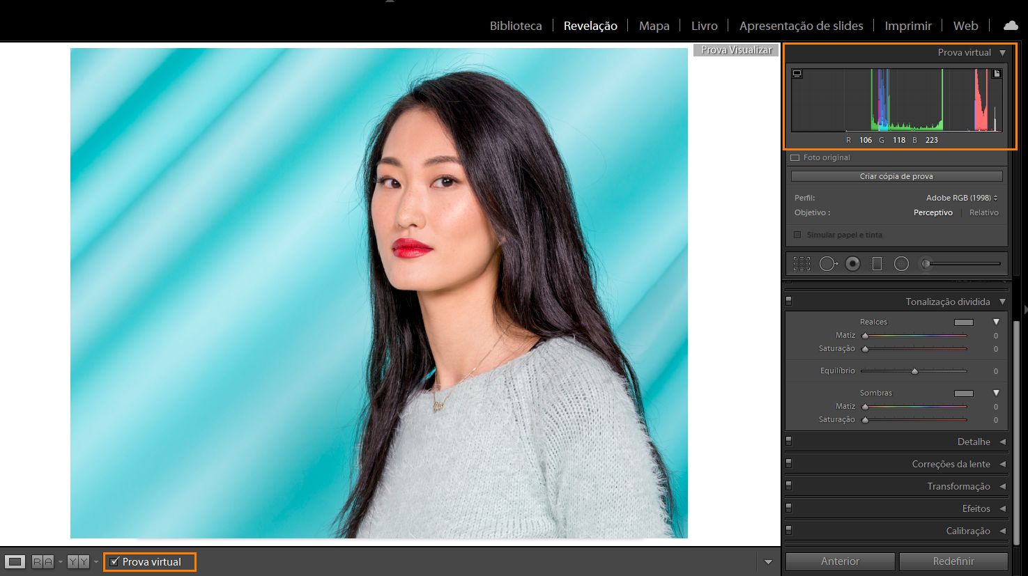 Prova digital no módulo Revelação no Lightroom Classic