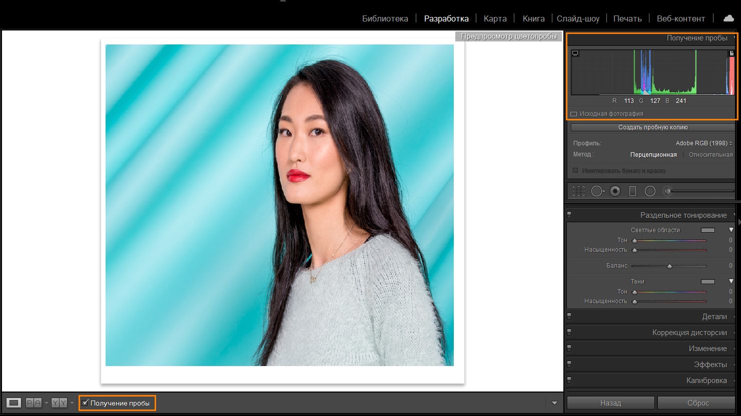 Цветопробы в модуле «Разработка» в Lightroom Classic