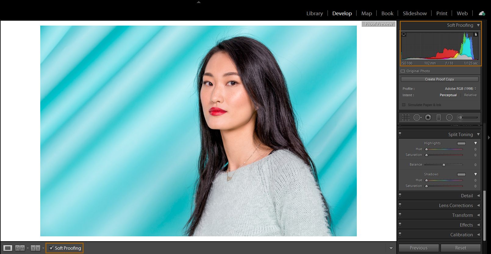 Lightroom Classic — próba ekranowa w module obróbki