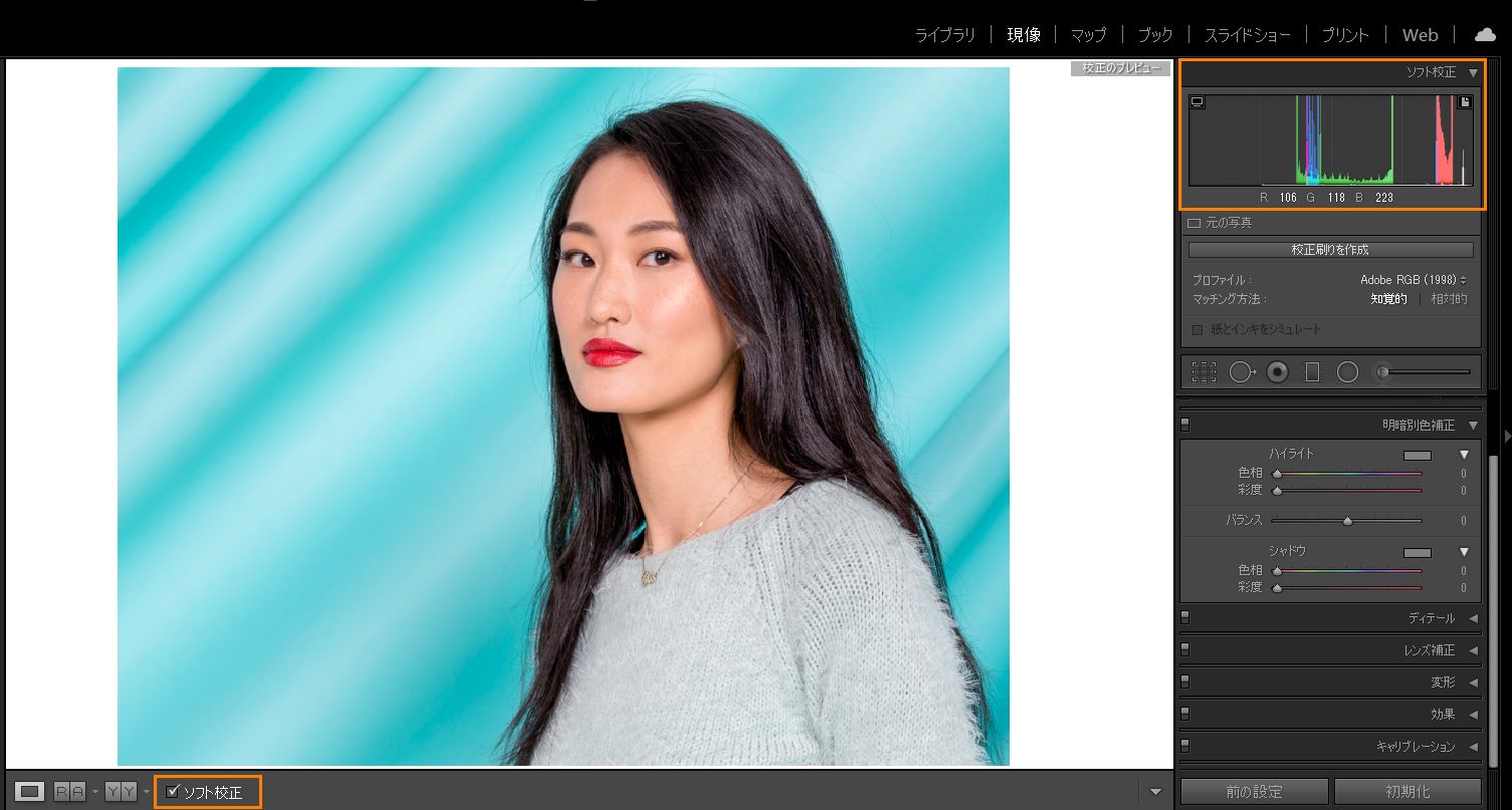 Lightroom Classic 現像モジュールのソフト校正